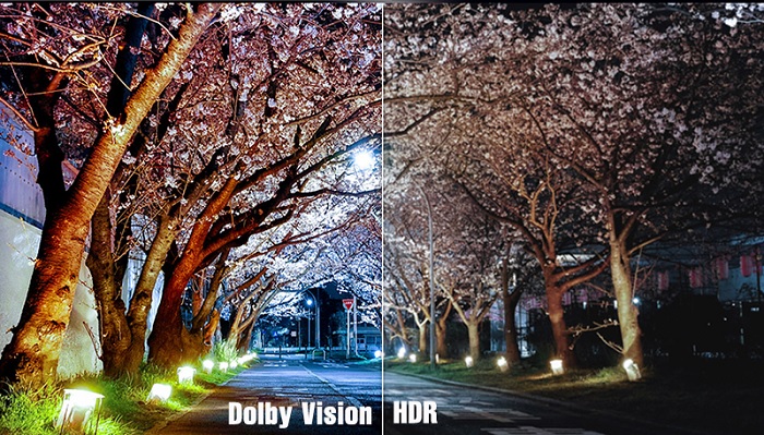 dolby vision bạch long mobile