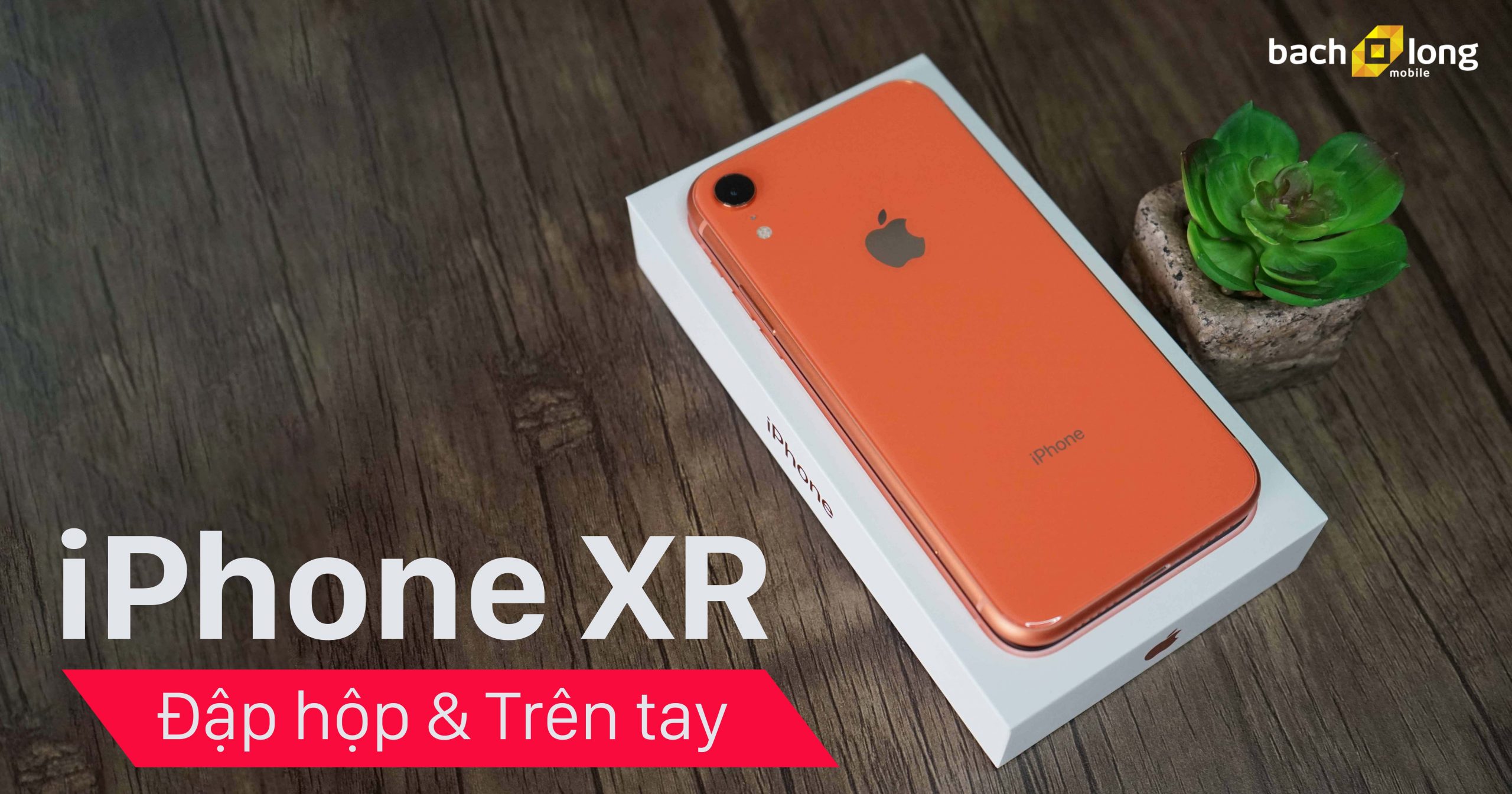 iPhone Xs và Xr vẫn hoạt động được ngay cả khi điện thoại hết pin | Sản  phẩm mới | Vietnam+ (VietnamPlus)