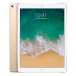 iPad Pro 12.9 inch 2017 512GB - (WIFI+4G) 